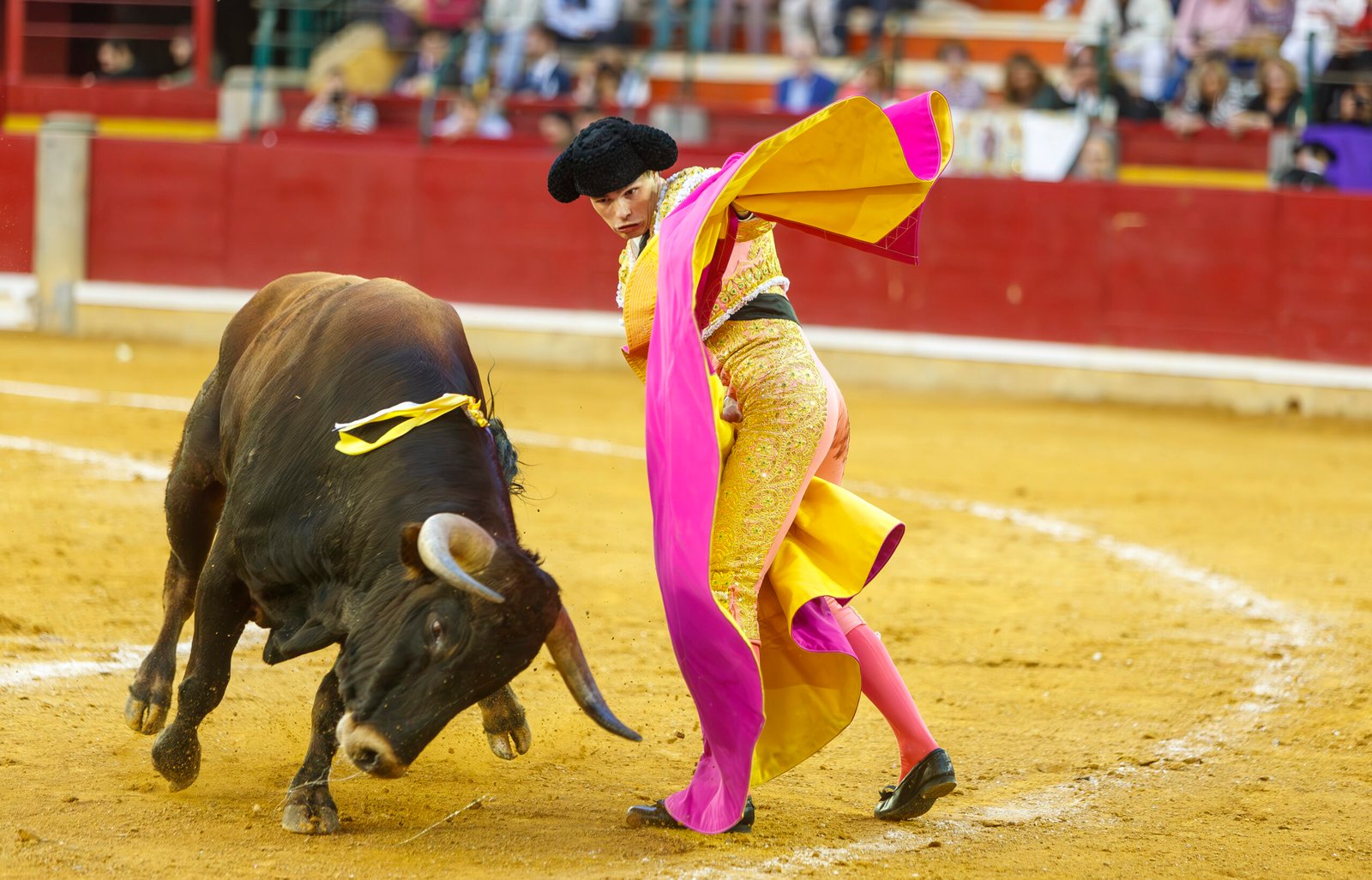 ZARAGOZA 20/04/2024.-Novillada de la feria de San Jorge con Tristán Barroso,en la imagen, Cristiano Torres y Fran Fernando, que debuto con picadores.CIERZO VISUAL